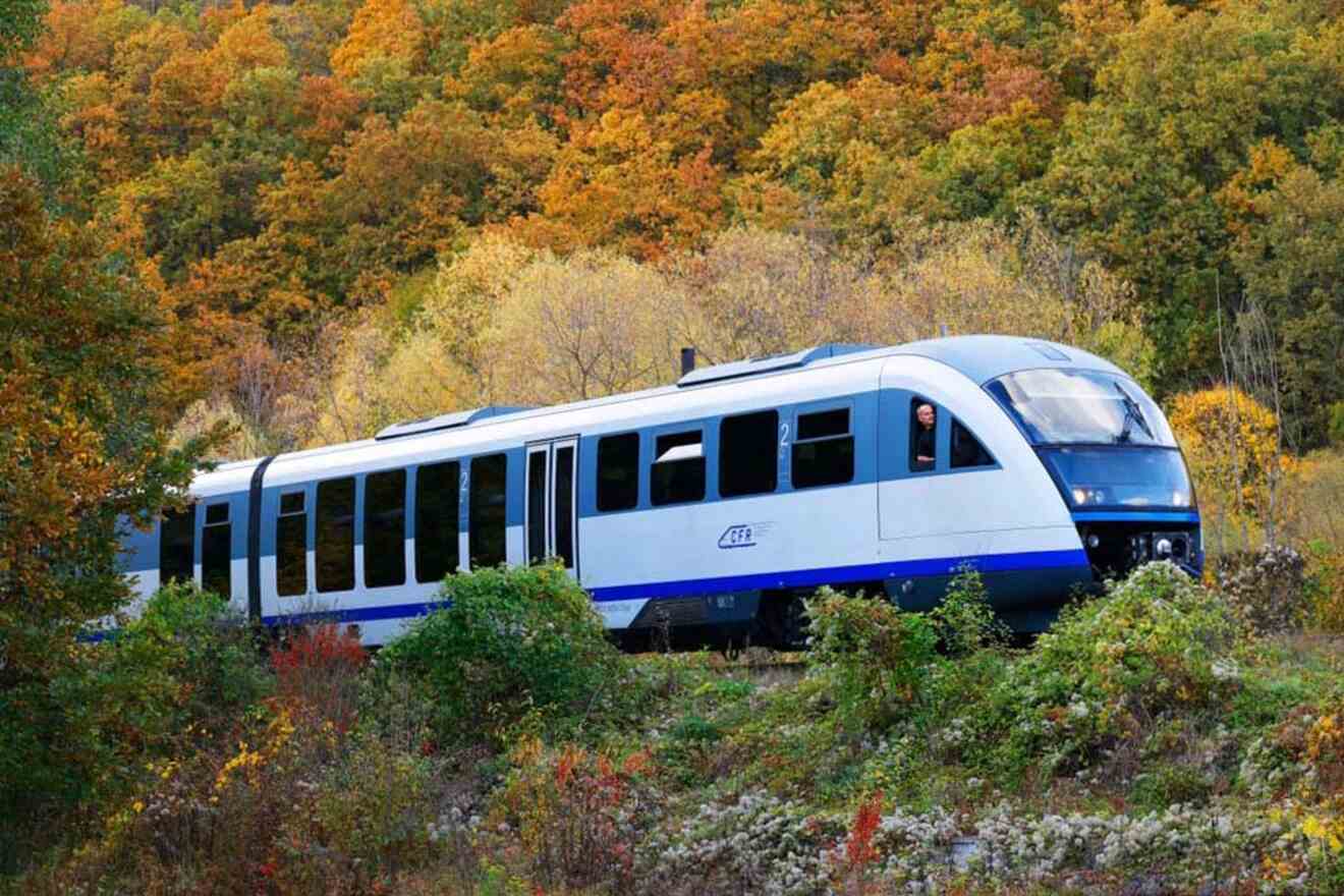 A modern passenger train with white and blue cars travels through a lush, forested area with autumn-colored foliage.