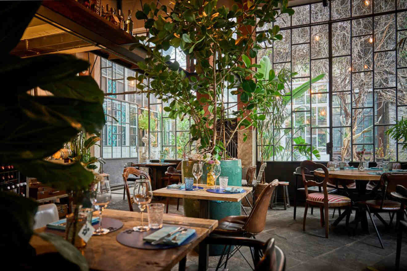 A cozy restaurant interior with wooden tables, chairs, plants, and large windows letting in natural light. The tables are set with plates, glasses, and cutlery.