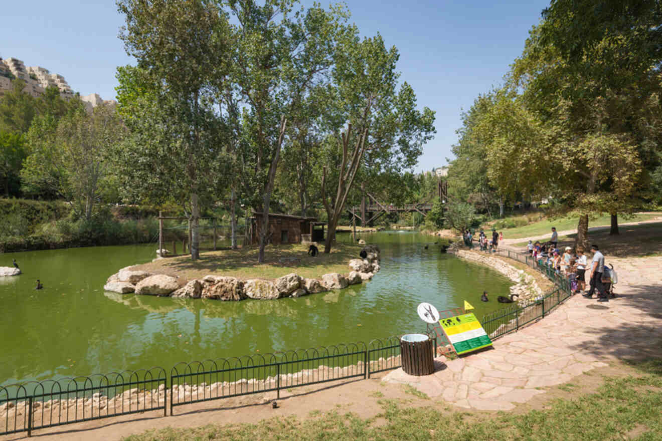 A green pond with a small island in the center surrounded by trees. People are standing on a stone pathway near the water's edge. A sign and trash can are visible in the foreground.