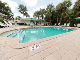 A rectangular pool with clear water, surrounded by lounge chairs and large green umbrellas