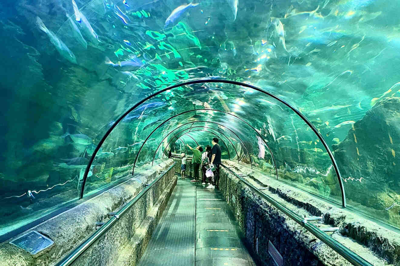 People walk through a clear acrylic tunnel inside an aquarium, surrounded by water and marine life.