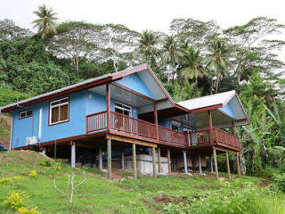 A blue elevated house with a wooden porch, nestled on a hillside surrounded by palm trees and lush greenery.