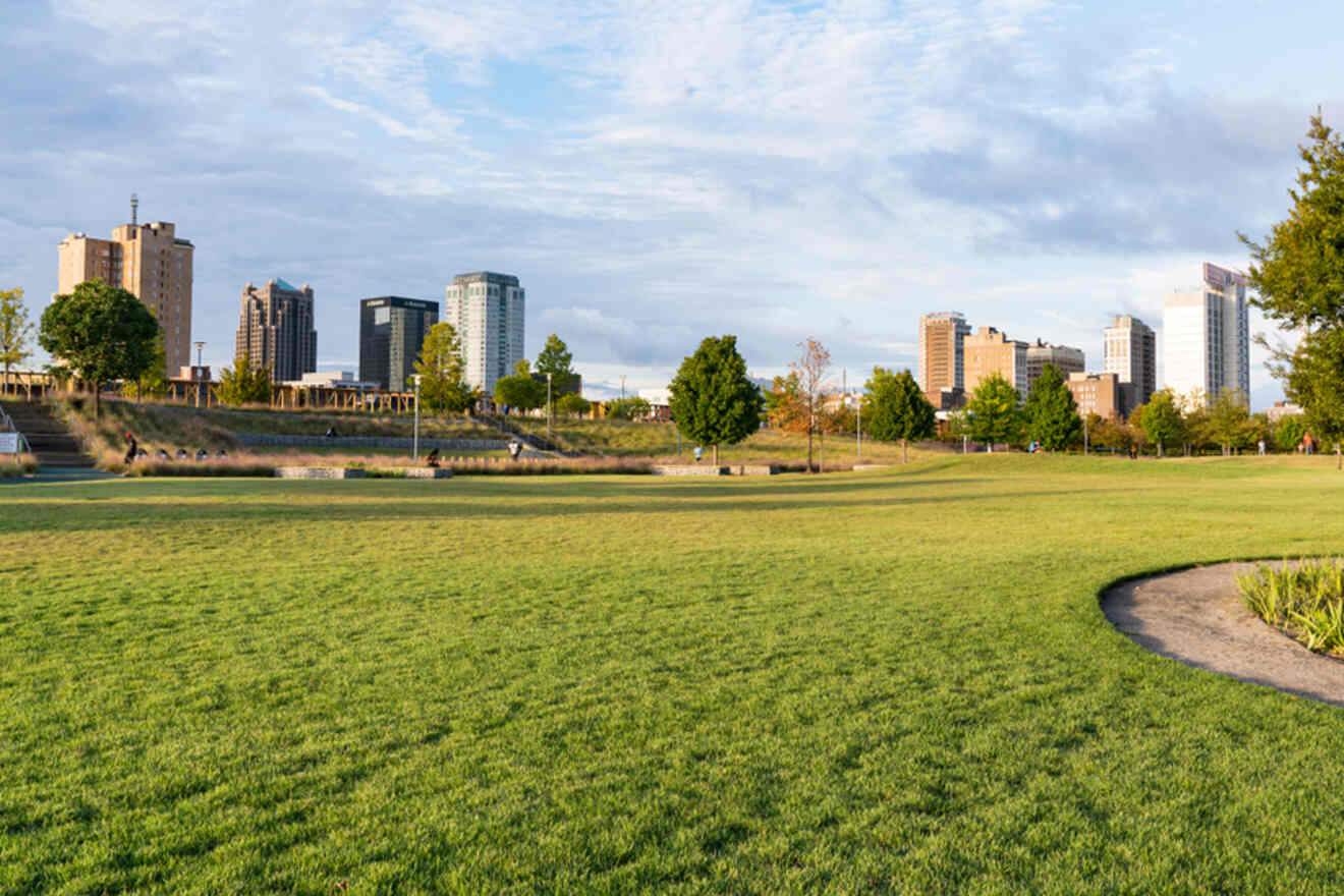 A large grassy field with a few trees, bordered by a pathway, set against a backdrop of city buildings under a partly cloudy sky.