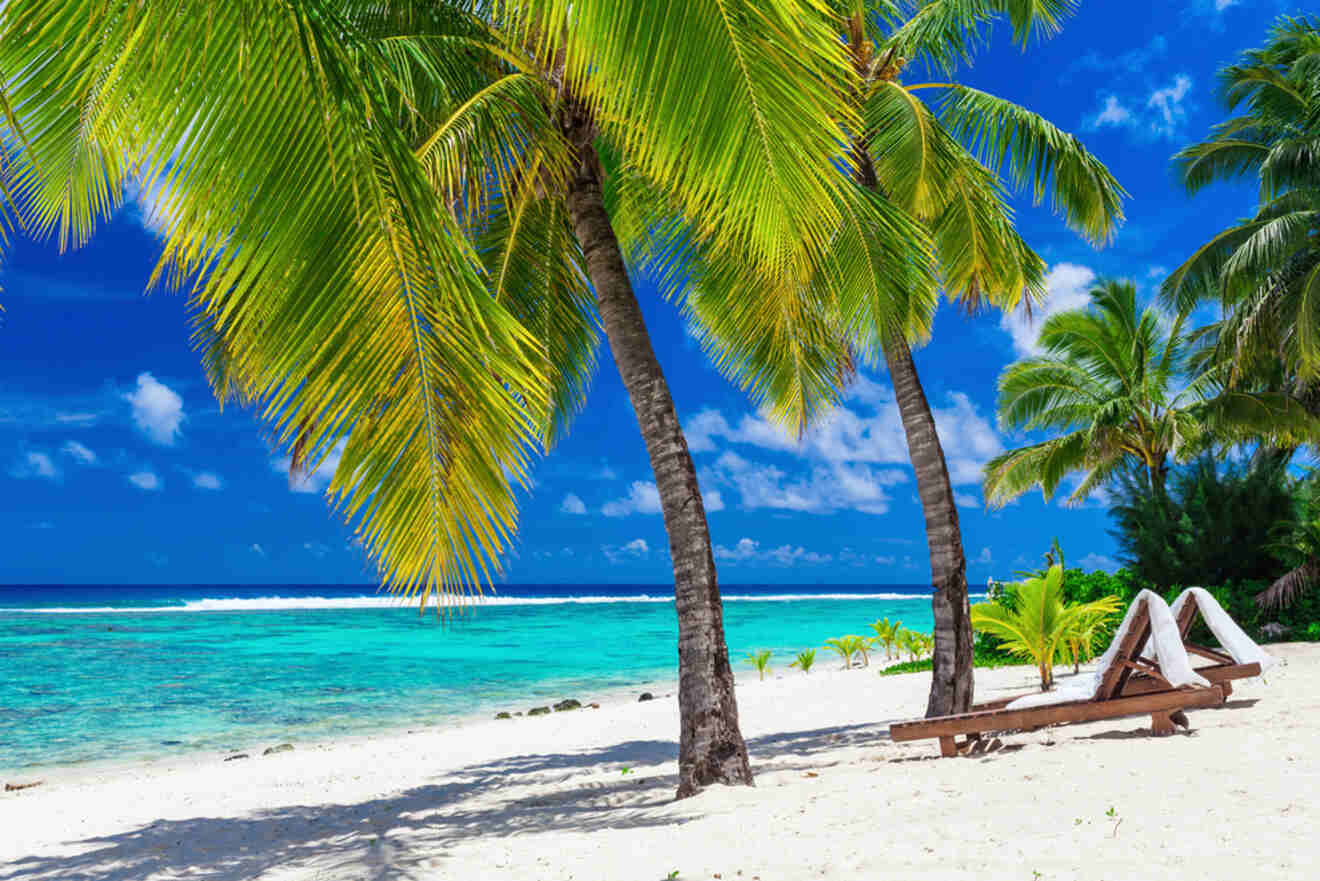 Beach scene with palm trees and a lounge chair overlooking the turquoise waters of the Cook Islands