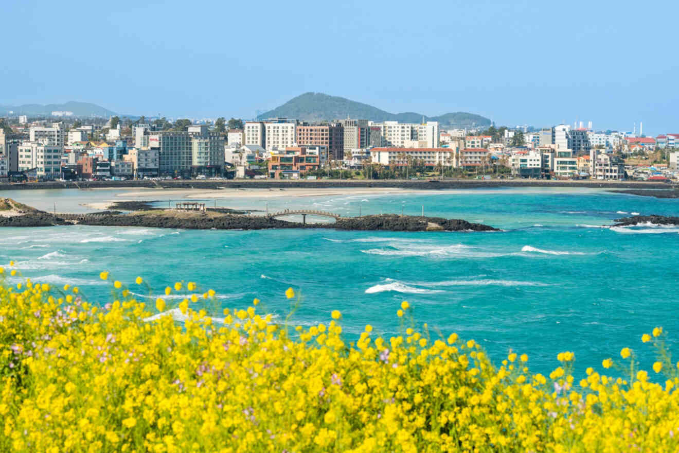 A coastal cityscape with modern buildings is seen across the turquoise ocean. In the foreground, a field of blooming yellow flowers lines the shoreline.