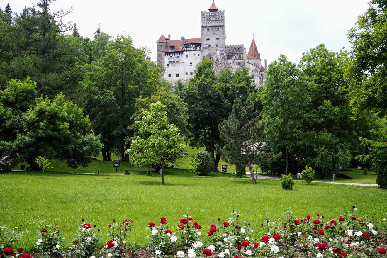 How to Get to Bran Castle From Bucharest: Top Routes & Local Tips