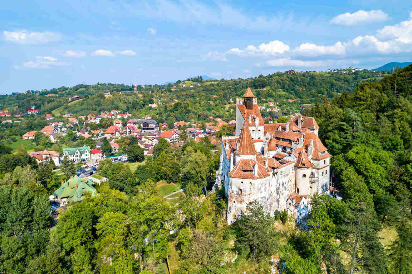 Aerial view of a historic castle with red-roofed towers surrounded by lush green trees and nearby residential houses in the background under a partly cloudy sky.