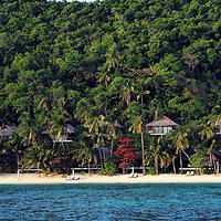 A tropical beach with clear blue water, palm trees, and wooden huts nestled in a lush green forest.