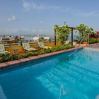 Rooftop pool with sun loungers, potted plants, and city views under a clear blue sky.