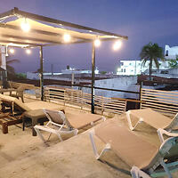 Rooftop terrace with lounge chairs and string lights at dusk, overlooking nearby buildings and a palm tree.