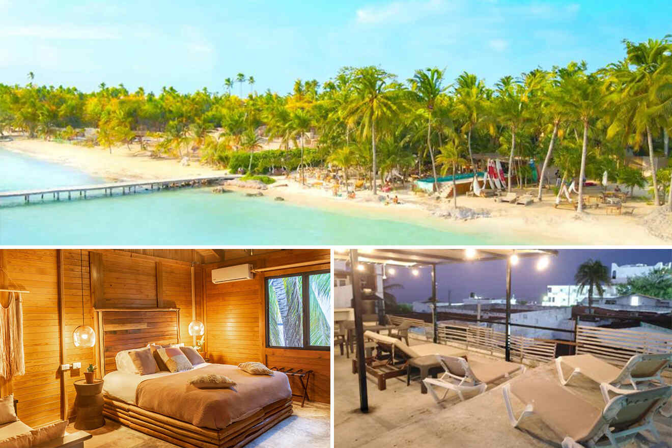 Beachfront with palm trees, a cozy wooden bedroom with a large bed, and a rooftop terrace with lounge chairs.