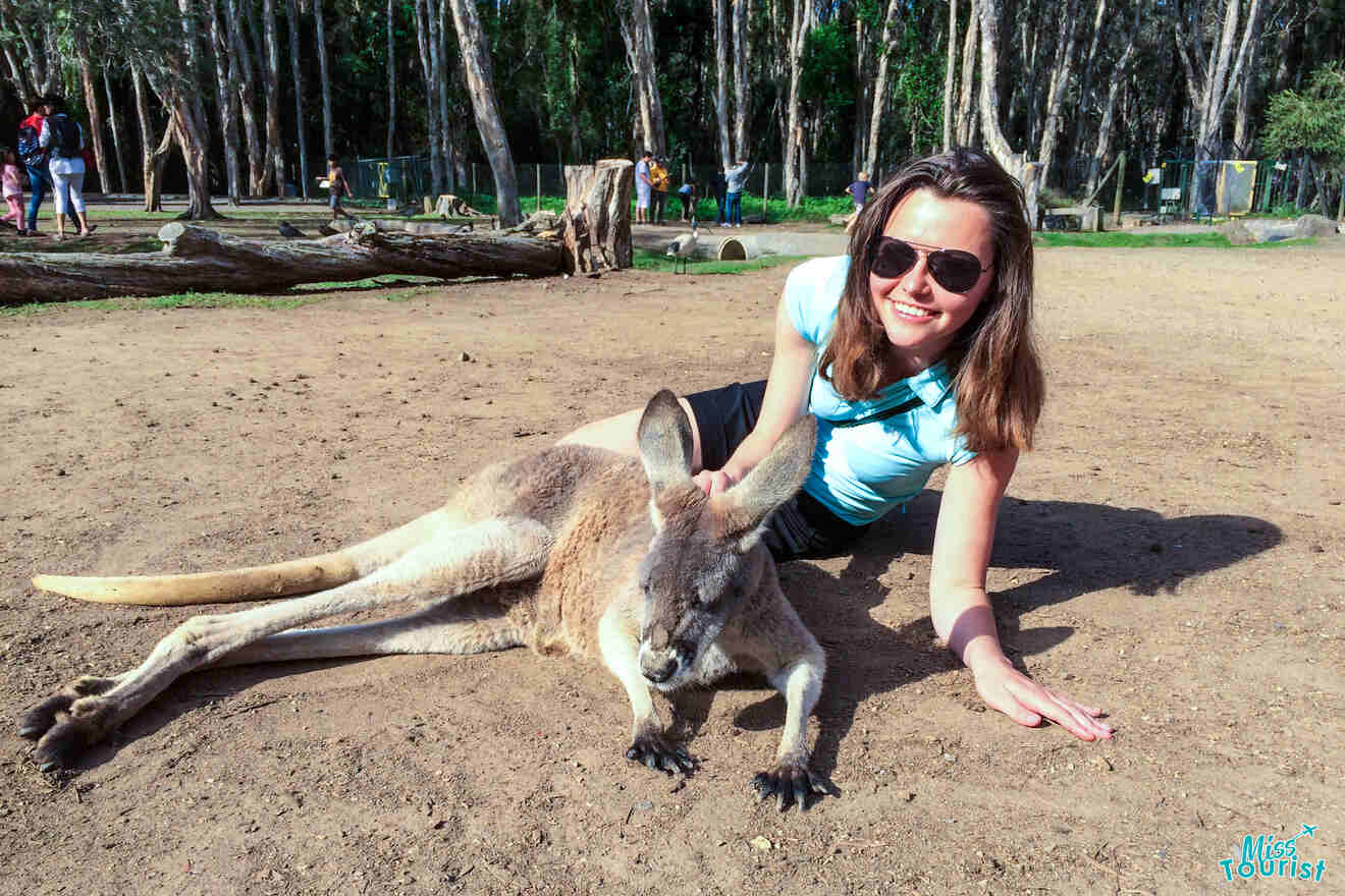 author of the post in sunglasses is lying on the ground, leaning on a large kangaroo, in an outdoor setting with scattered trees.