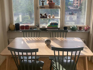 A wooden dining table with four chairs is in front of a window. Shelves hold various items, including books and potted plants. Sunlight streams in from outside.