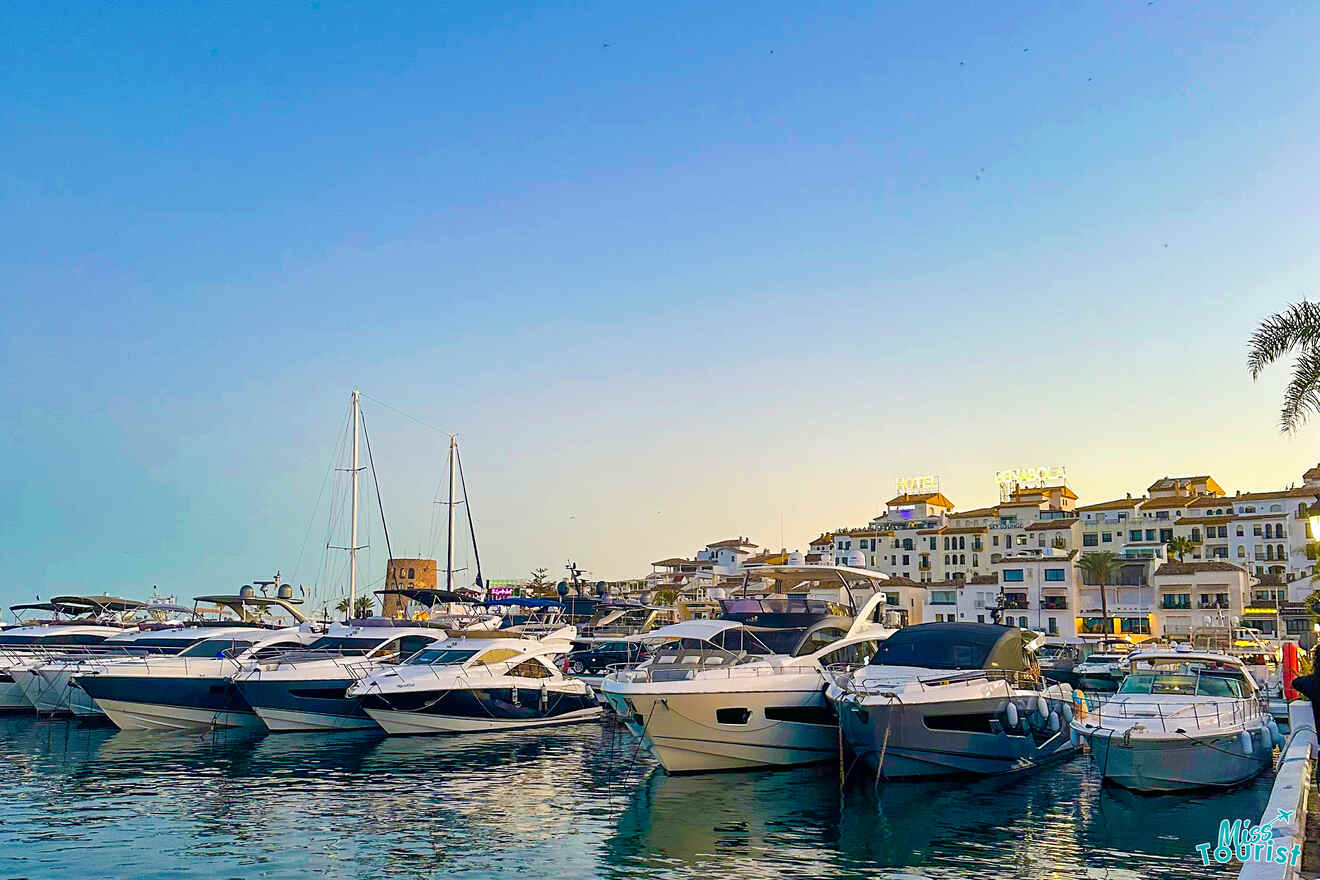 Boats docked in a marina with white buildings and a palm tree in the background under a clear blue sky.