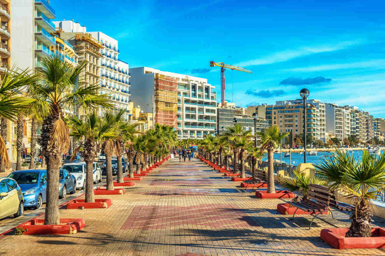 A sunny promenade lined with palm trees and red planters, alongside parked cars and buildings, extends toward a waterfront. A crane and construction are visible in the background.