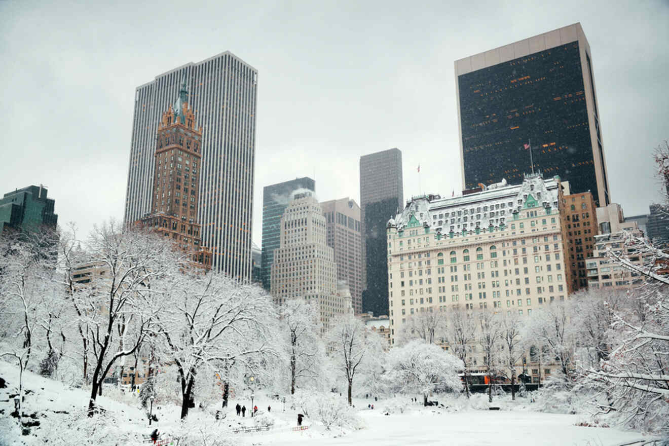 Snow-covered trees in a park with a view of skyscrapers in the background under a cloudy sky.