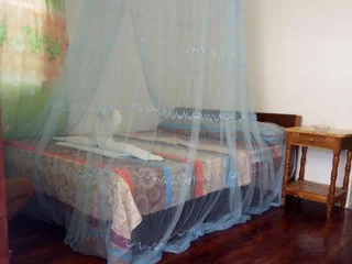 A bed with a mosquito net draped over it is placed beside a wooden side table in a room with a window partially covered by a floral curtain.