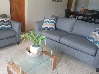 A living room with a gray sofa and armchair, patterned pillows, a glass coffee table with a potted plant, and a dining table in the background.