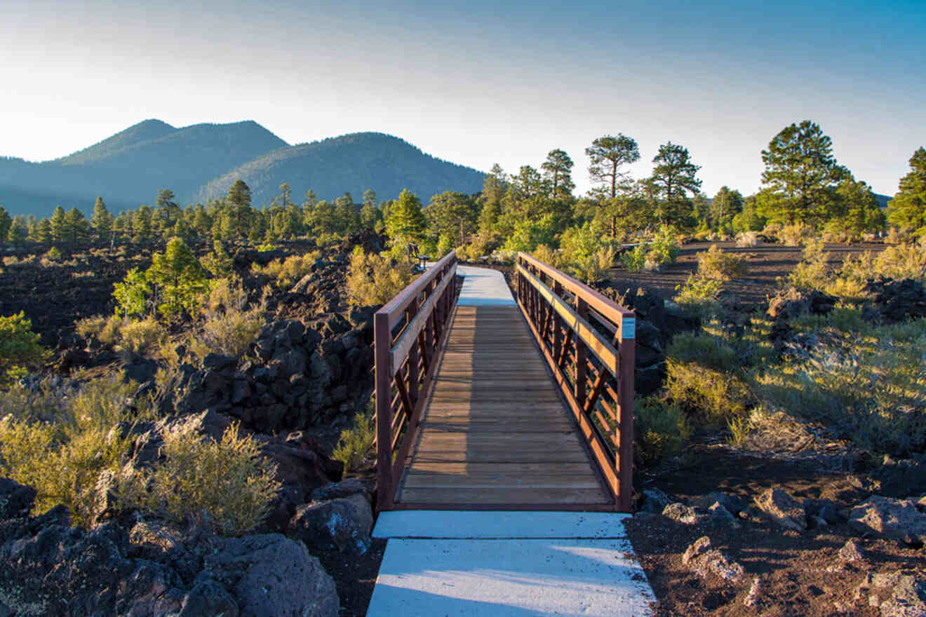 A wooden bridge leads over a rocky landscape with sparse vegetation, mountain peaks, and clear blue sky in the background.