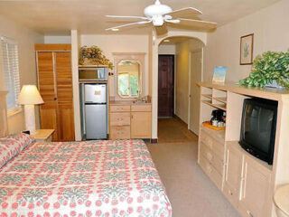 Hotel room with a bed, floral bedspread, dresser, TV, ceiling fan, kitchenette with fridge, and a small bathroom in the corner.