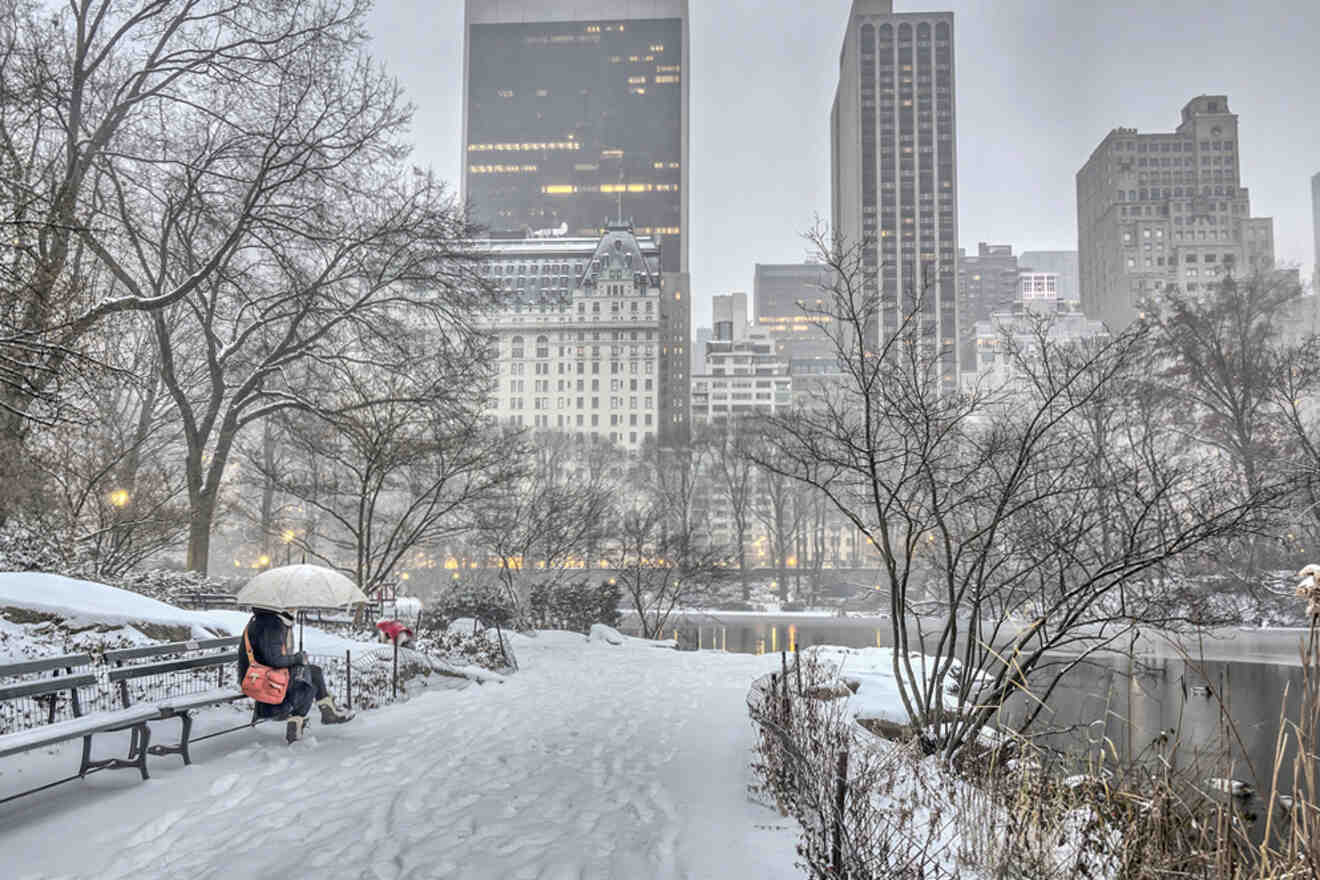 A person with an umbrella walks through snow in a park. Tall buildings and leafless trees are visible in the background.