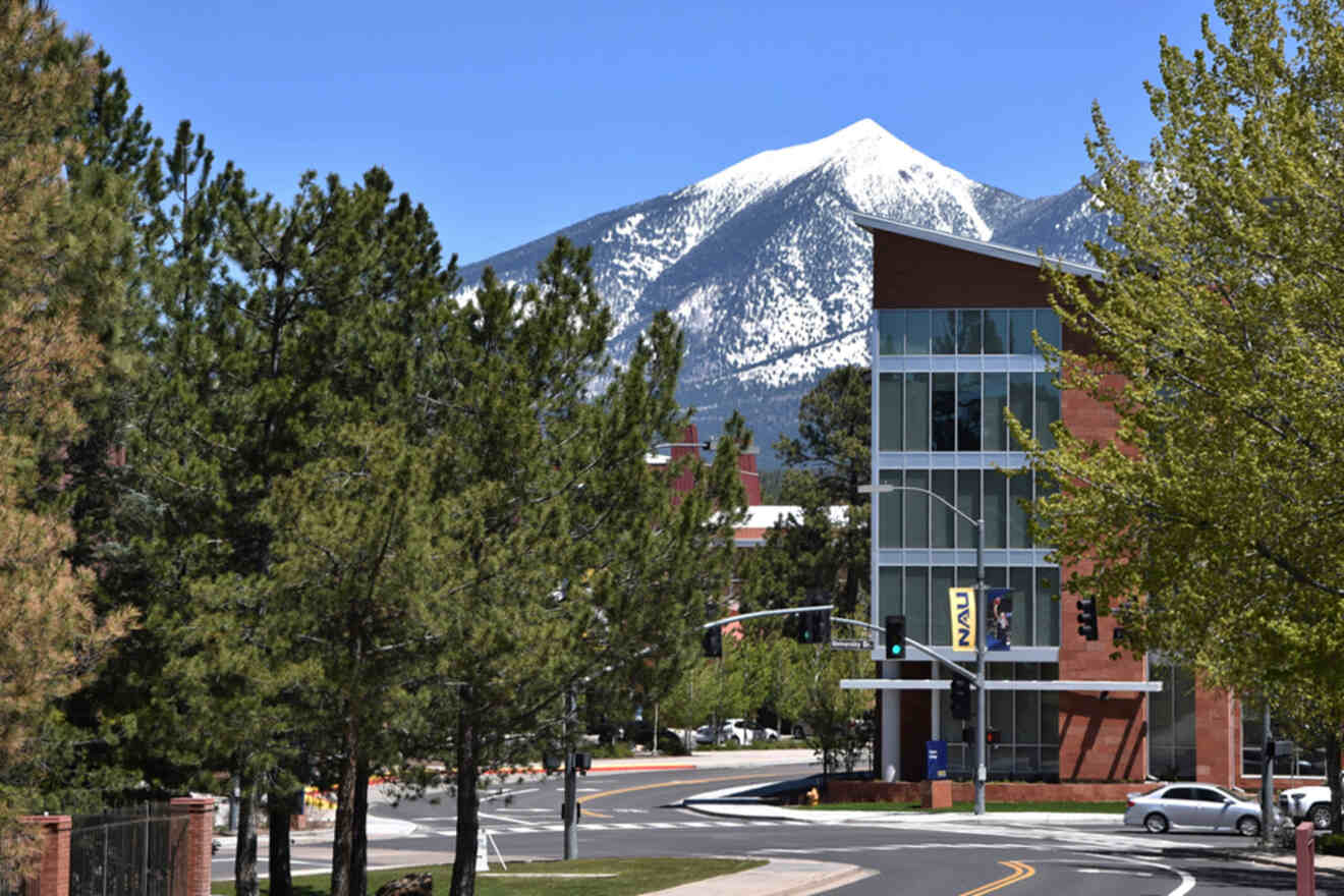 Modern building with glass windows near a street and trees, with a snow-capped mountain in the background under a clear blue sky.