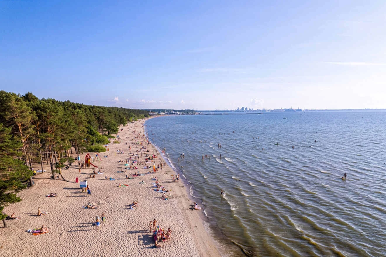 A sandy beach with people sunbathing and swimming, bordered by a forested area on the left and calm ocean waves on the right, under a clear blue sky.