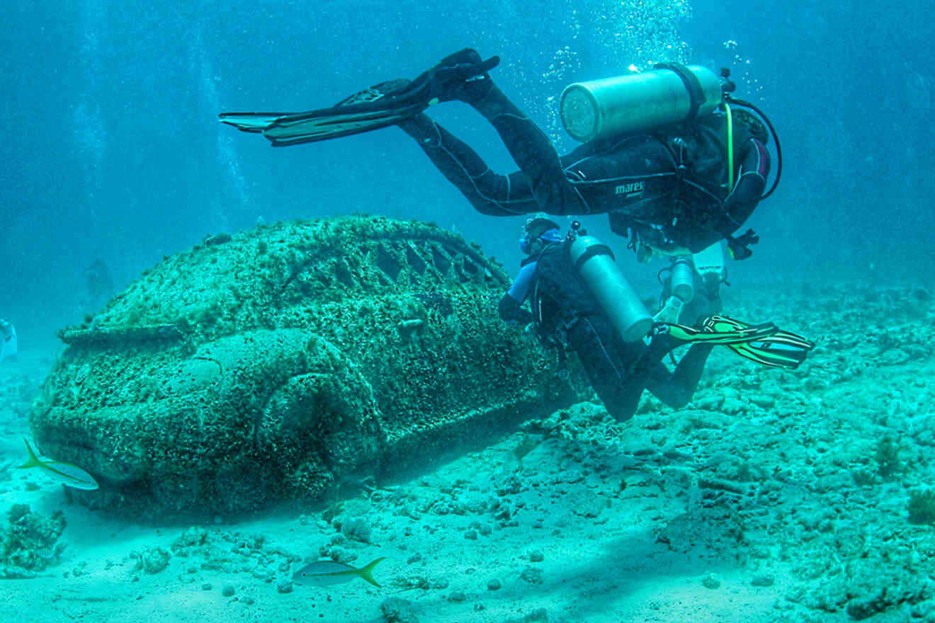 Scuba divers explore a submerged, algae-covered car on the ocean floor.