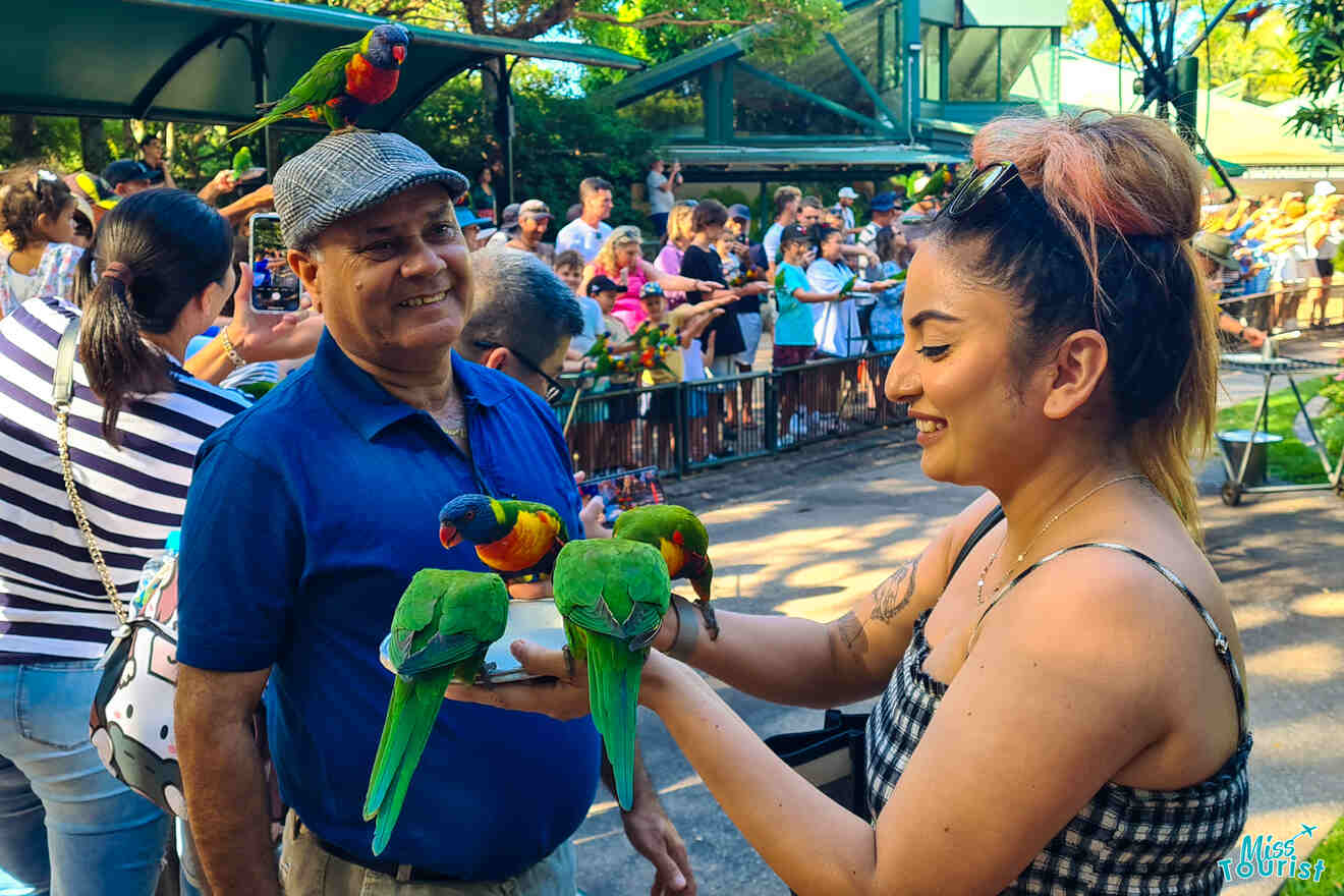 A smiling man and woman feed colorful parrots at a park, with people and a fence in the background.