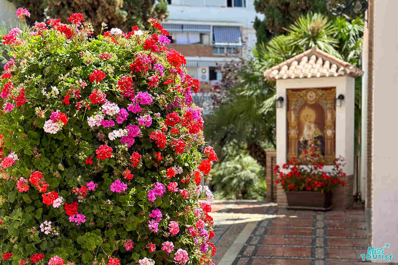 A vibrant bush of red and pink flowers in the foreground with a small shrine featuring a religious icon in the background, set in a garden with buildings partially visible.