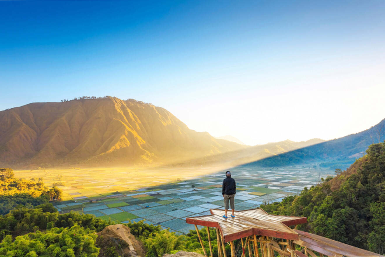 Person stands on a wooden platform overlooking a vast valley with patchwork fields, surrounded by mountains under a clear blue sky.