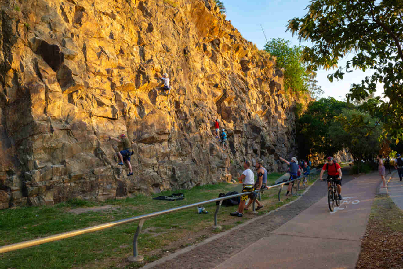 People rock climbing on a sunlit cliff while a cyclist rides on a nearby path.