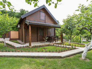 A small wooden cabin with a gabled roof, surrounded by grass and trees, with a stone pathway leading to the entrance.