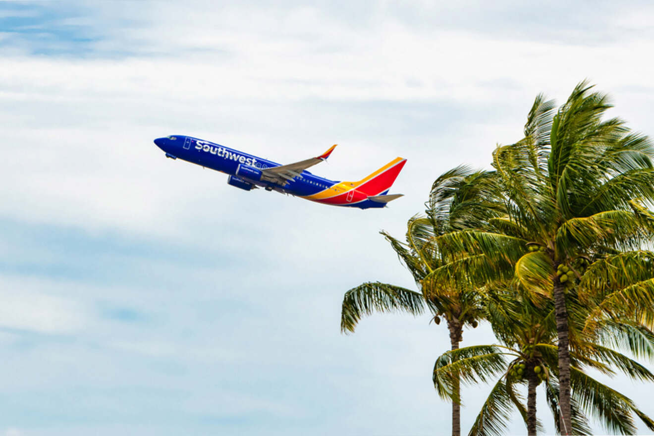 A Southwest airplane takes off, with palm trees in the foreground and a partly cloudy sky in the background.