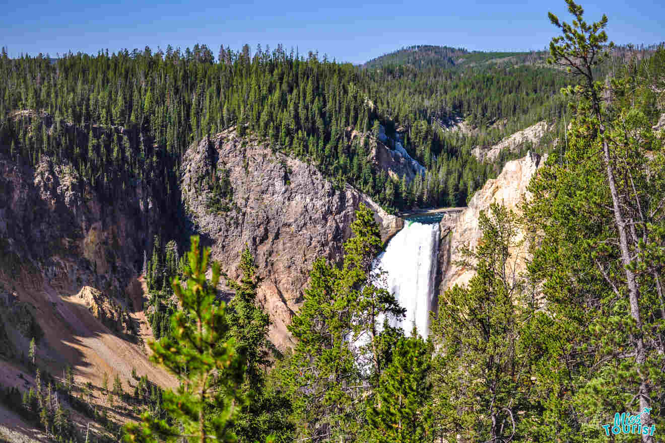 A waterfall cascading down a rocky cliff surrounded by dense, green forest under a clear blue sky.