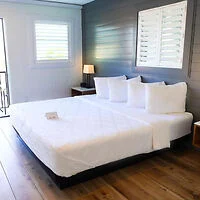 A neatly made bed with white linens and pillows in a modern bedroom, featuring wooden floors, a nightstand with a lamp, and two windows with blinds.