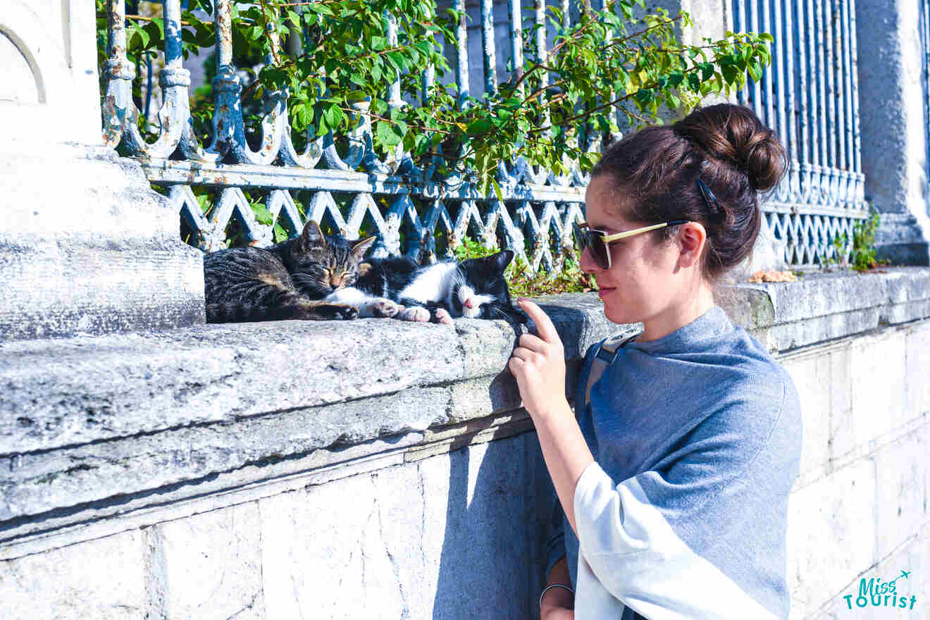 author of the post wearing sunglasses pets two cats resting on a stone ledge near a fence and greenery.