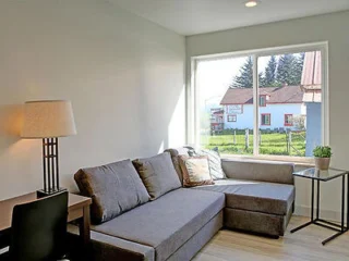 Living room with a gray sectional sofa, a lamp on a wooden table, a small plant on a side table, and a view of houses and trees through a large window.