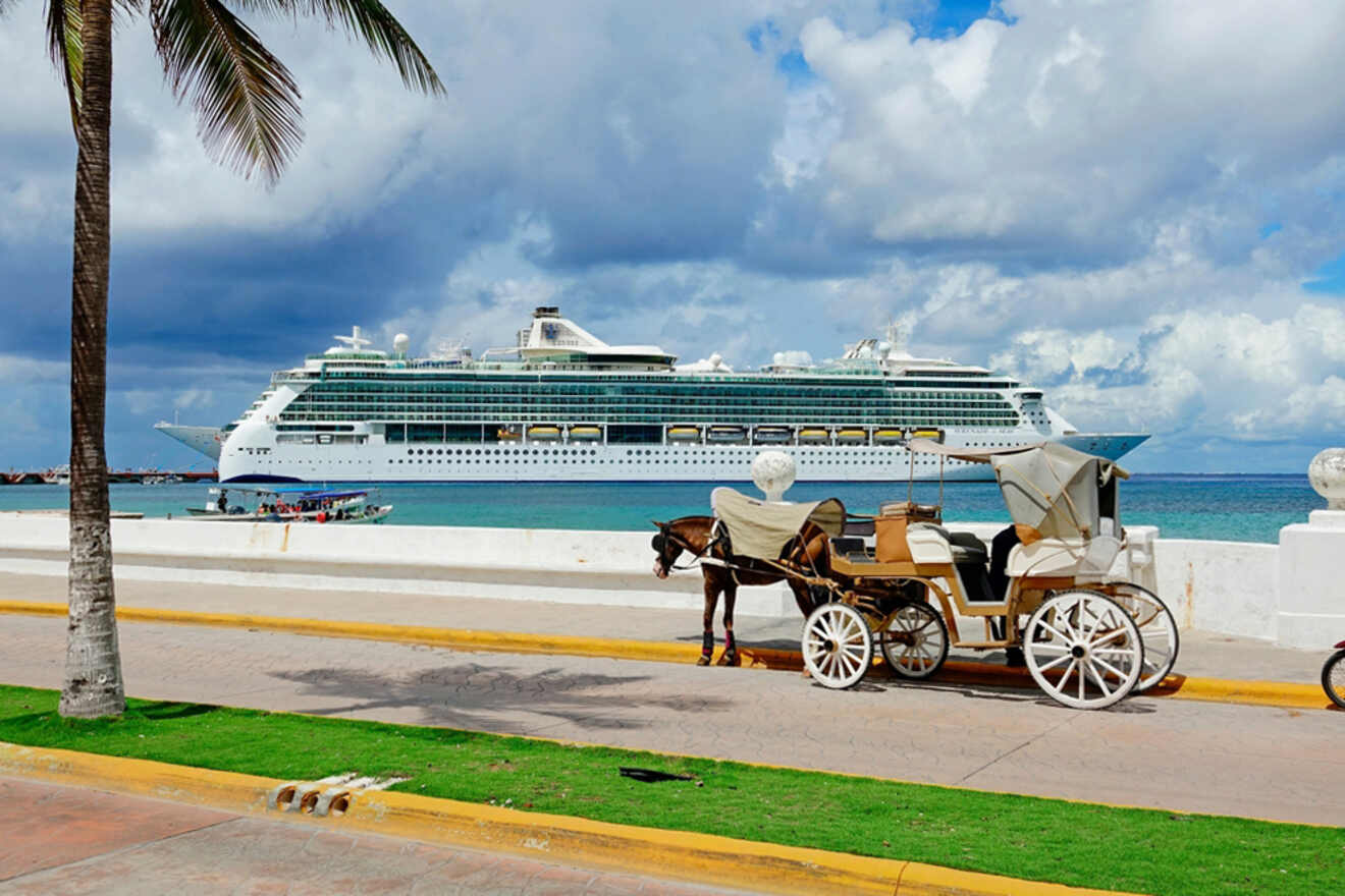 Horse-drawn carriage on a seaside road with a large cruise ship in the ocean under a partly cloudy sky.