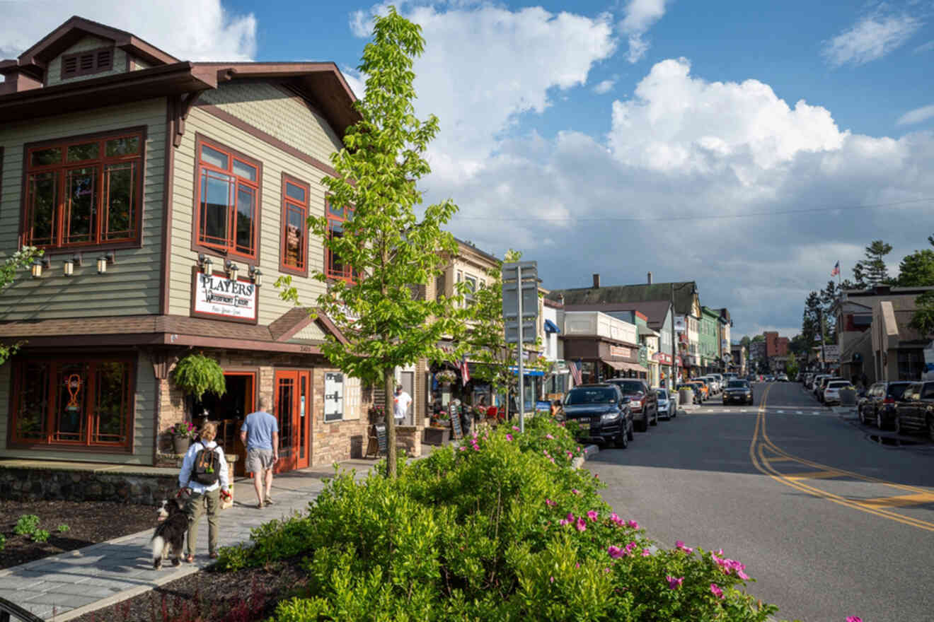 A tree-lined street with shops and parked cars in a small town. People are walking on the sidewalk. Blue sky and clouds above.