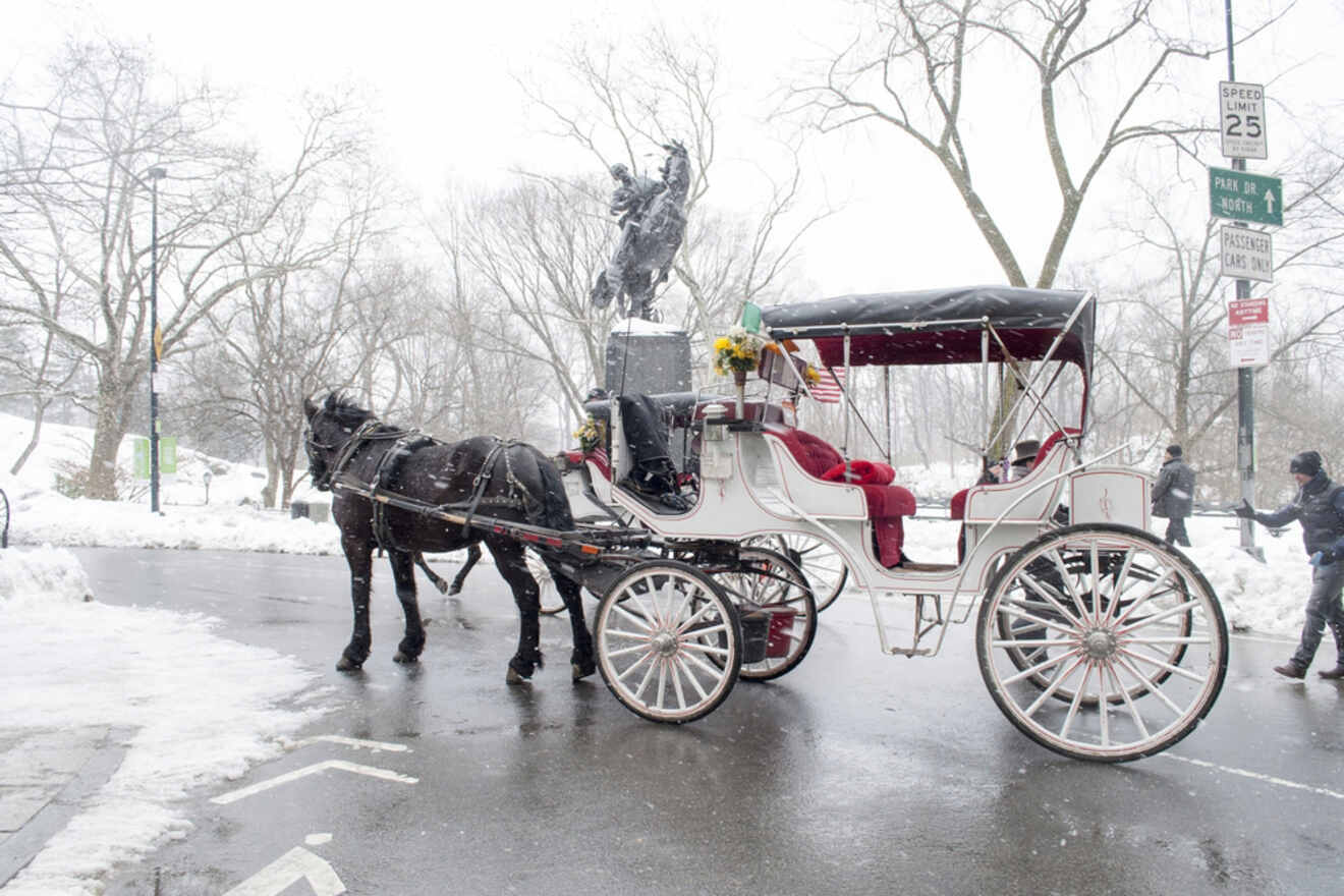 A horse-drawn carriage travels through a snowy park, passing by a statue.