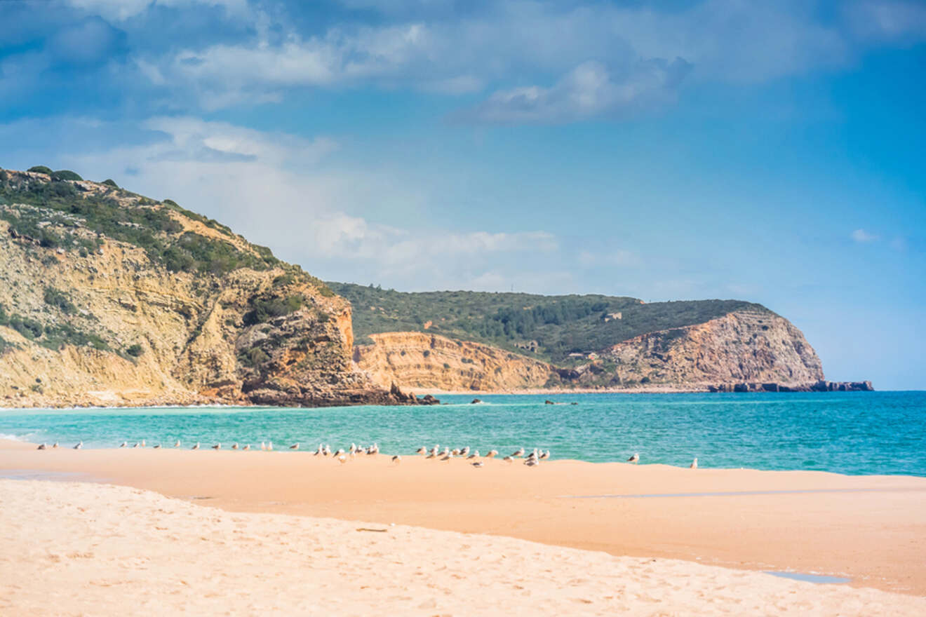 A sandy beach with seagulls in the foreground. Rocky cliffs and the blue sea stretch under a partly cloudy sky, capturing the tranquil beauty typical of Lagos, Portugal.