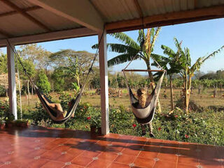 Two people relax in hammocks on a covered patio overlooking a sunny garden with banana trees and greenery in the background.