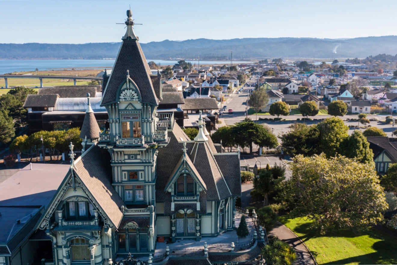 Aerial view of a large Victorian-style house with ornate details, set in a small town with distant hills and a body of water in the background.