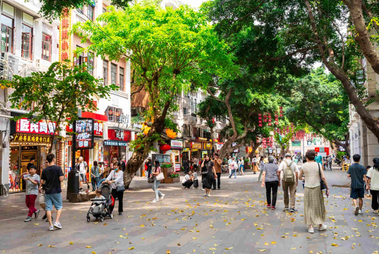 A bustling street scene with people walking under the shade of trees. The area is lined with shops and signage, and fallen leaves are scattered on the pavement.