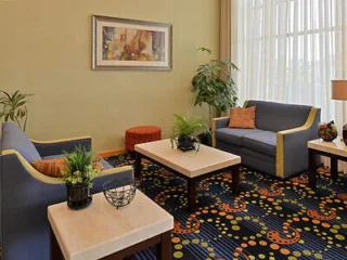 A modern living room features two blue sofas, a patterned carpet, light wood tables with plants, and a large window with sheer curtains. A framed artwork hangs on a light-colored wall.