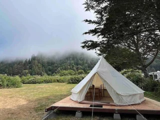 A white tent is set up on a wooden platform in a grassy area, with fog-covered trees in the background.