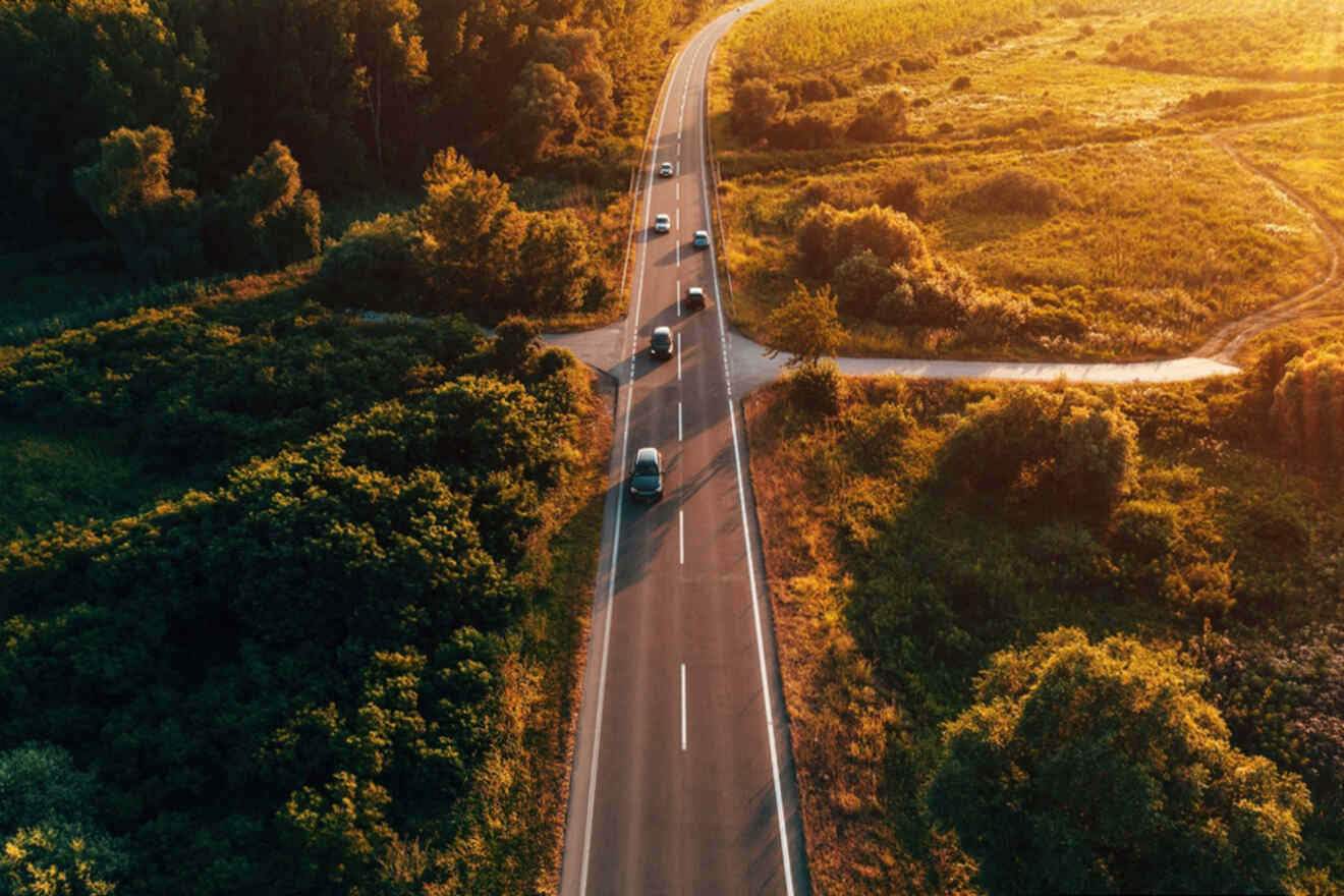 Aerial view of a road with several cars driving through a lush green landscape and golden fields during sunset.