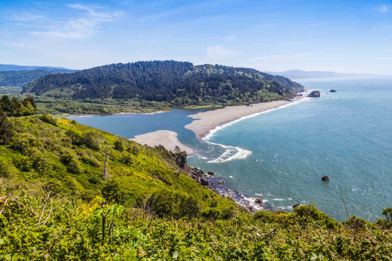 A coastal landscape with a sandy beach, dense green forest, and a river flowing into the ocean under a clear blue sky.