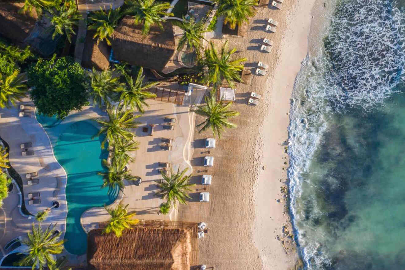 Aerial view of a tropical beach with palm trees, lounge chairs facing the ocean, a swimming pool, and straw-roofed structures. Waves gently reach the shore.